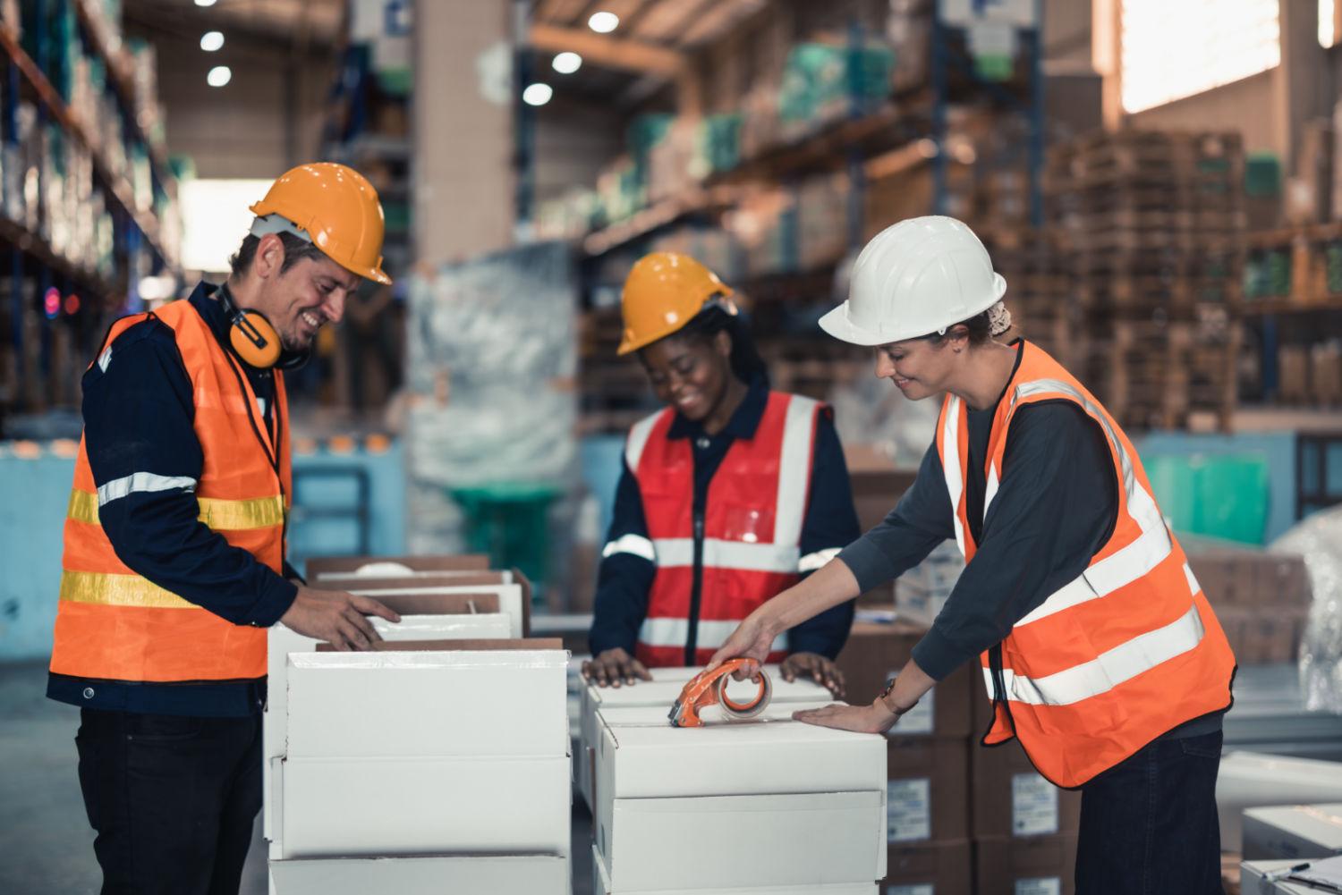 How to Organize Your Warehouse for Efficiency
